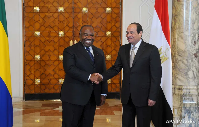 Egyptian President Abdel Fattah al-Sisi meets with President of Gabon Ali Bongo in the Egyptian capital Cairo on Feb. 18, 2016. Photo by Egyptian President Office
