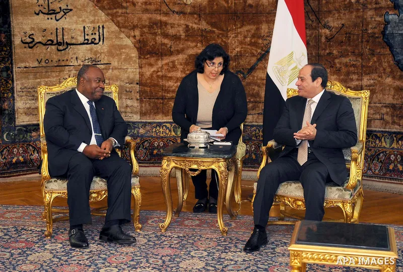 Egyptian President Abdel Fattah al-Sisi meets with President of Gabon Ali Bongo in the Egyptian capital Cairo on Feb. 18, 2016. Photo by Egyptian President Office