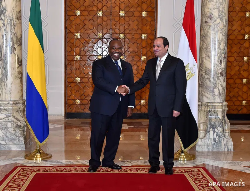Egyptian President Abdel Fattah al-Sisi and President of Gabon Ali Bongo shake hands during a meeting in the Egyptian capital Cairo on Feb. 18, 2016. Photo by Egyptian President Office