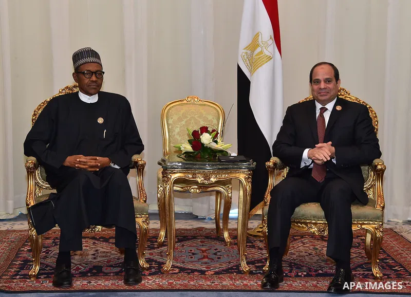 Egyptian President Abdel Fattah al-Sisi (R) meets with Nigeria's President Muhammadu Buhari during the African international business forum "COMESA" in the Red Sea resort of Sharm el-Sheikh, in the South Sinai governorat...