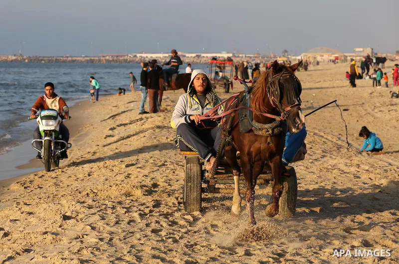 Palestinians enjoy their time at the beach of Gaza city during sunset on Feb. 26, 2016. Photo by Mohammed Asad