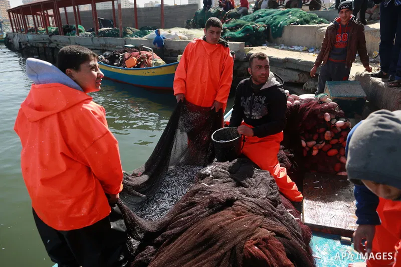 Palestinian fishermen collect fish from their nets at Gaza's seaport of Gaza City, on March 5, 2016. Photo by Yasser Qudih