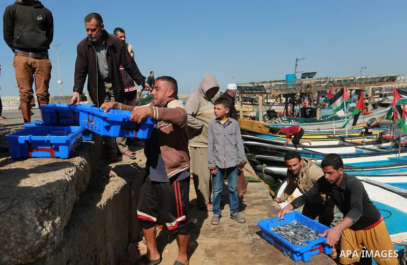 Palestinian fishermen collect fish from their nets at Gaza's seaport of Gaza City, on March 5, 2016. Photo by Yasser Qudih