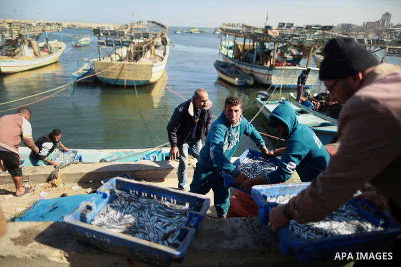 Palestinian fishermen collect fish from their nets at Gaza's seaport of Gaza City, on March 5, 2016. Photo by Yasser Qudih