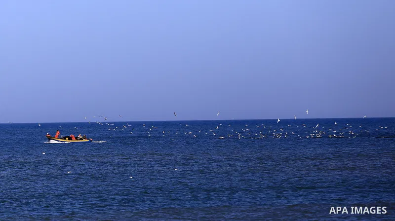 Palestinian fishermen ride their fishing at Gaza's seaport of Gaza City, on March 5, 2016. Photo by Yasser Qudih