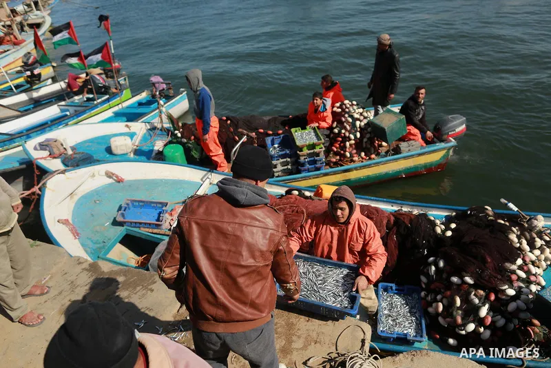 Palestinian fishermen collect fish from their nets at Gaza's seaport of Gaza City, on March 5, 2016. Photo by Yasser Qudih