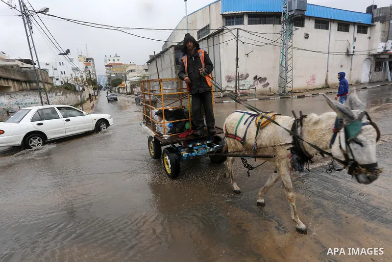 Palestinians walk in a street flooded by rain water, in Gaza city, on March 16, 2016. Photo by Mohammed Asad