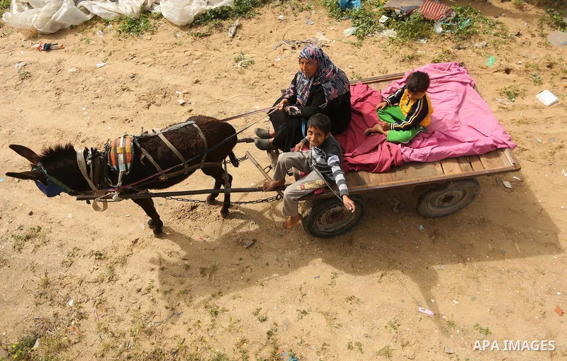 Palestinian woman Jihan Abu Muhsen rides her donkey-drawn cart as she collects bricks for sale from the sites of demolished buildings in Khan Younis in the southern Gaza Strip March 17, 2016. Abu Muhsen gathers bricks fr...