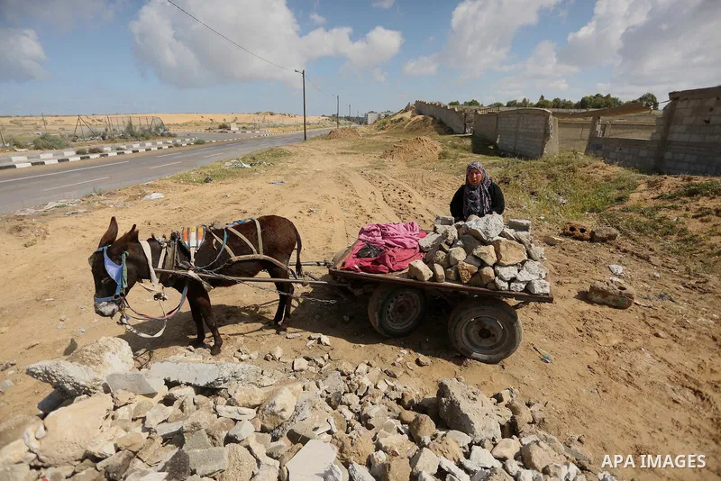 Palestinian woman Jihan Abu Muhsen rides her donkey-drawn cart as she collects bricks for sale from the sites of demolished buildings in Khan Younis in the southern Gaza Strip March 17, 2016. Abu Muhsen gathers bricks fr...