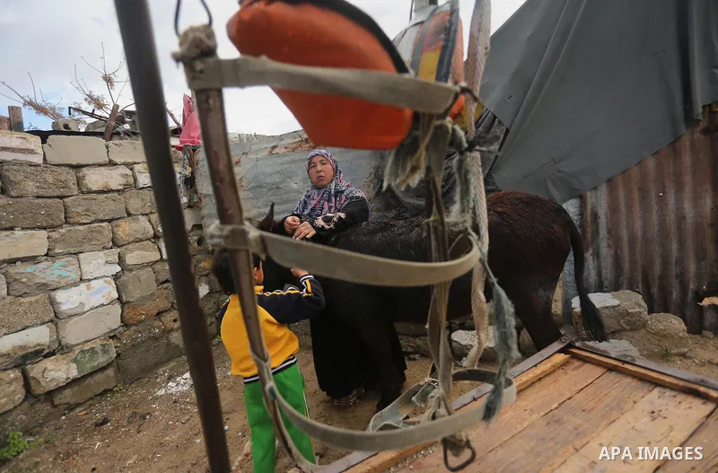 Palestinian woman Jihan Abu Muhsen prepares her donkey with her son Kareem before going work collecting bricks for sale from sites of demolished buildings, at her dwelling in Khan Younis in the southern Gaza Strip March...
