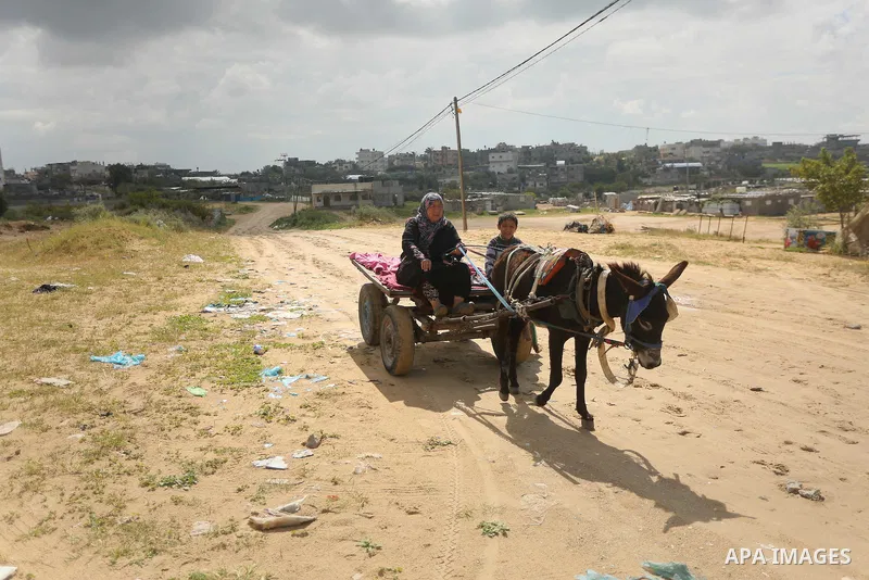 Palestinian woman Jihan Abu Muhsen rides her donkey-drawn cart as she collects bricks for sale from the sites of demolished buildings in Khan Younis in the southern Gaza Strip March 17, 2016. Abu Muhsen gathers bricks fr...