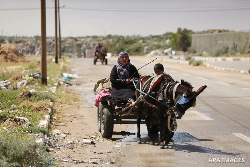 Palestinian woman Jihan Abu Muhsen rides her donkey-drawn cart as she collects bricks for sale from the sites of demolished buildings in Khan Younis in the southern Gaza Strip March 17, 2016. Abu Muhsen gathers bricks fr...