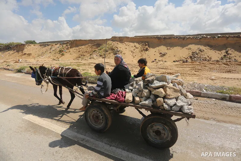 Palestinian woman Jihan Abu Muhsen rides her donkey-drawn cart as she collects bricks for sale from the sites of demolished buildings in Khan Younis in the southern Gaza Strip March 17, 2016. Abu Muhsen gathers bricks fr...