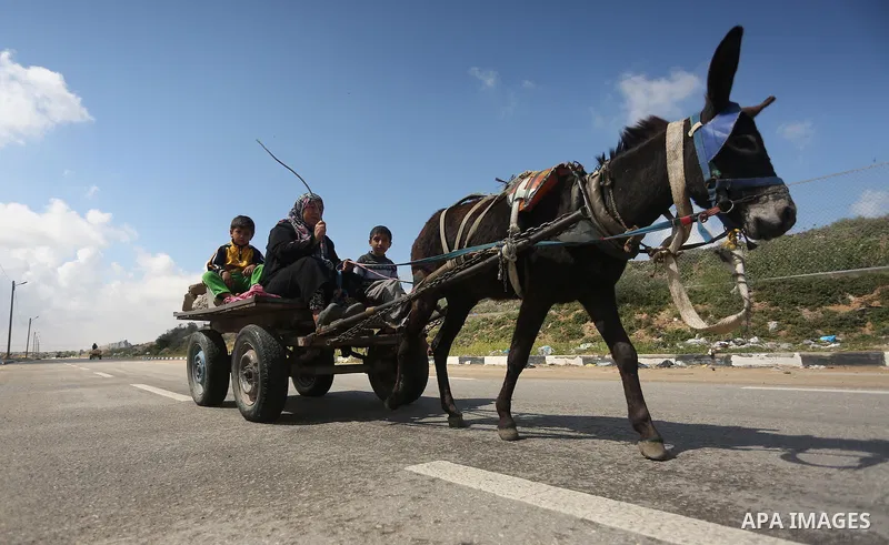 Palestinian woman Jihan Abu Muhsen rides her donkey-drawn cart as she collects bricks for sale from the sites of demolished buildings in Khan Younis in the southern Gaza Strip March 17, 2016. Abu Muhsen gathers bricks fr...