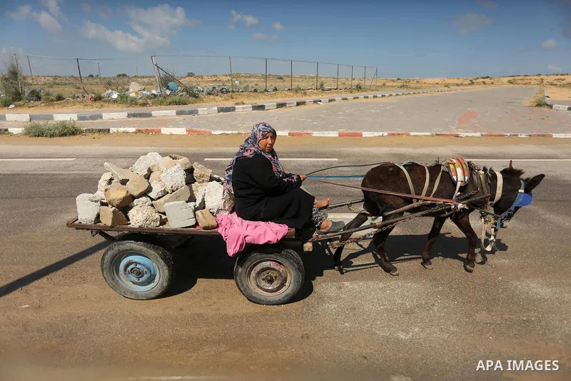 Palestinian woman Jihan Abu Muhsen rides her donkey-drawn cart as she collects bricks for sale from the sites of demolished buildings in Khan Younis in the southern Gaza Strip March 17, 2016. Abu Muhsen gathers bricks fr...