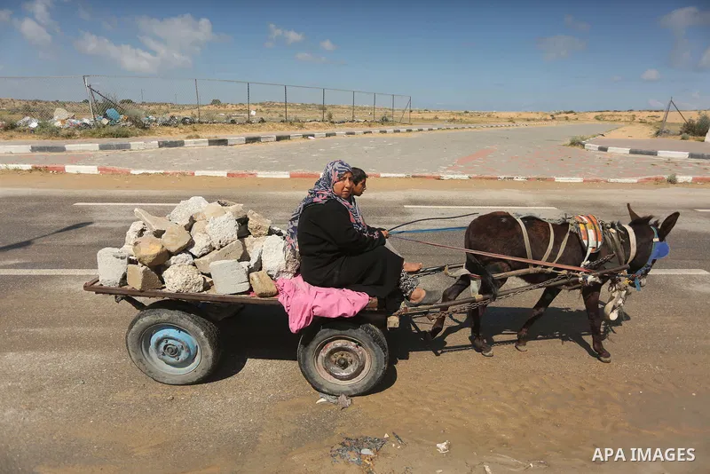 Palestinian woman Jihan Abu Muhsen rides her donkey-drawn cart as she collects bricks for sale from the sites of demolished buildings in Khan Younis in the southern Gaza Strip March 17, 2016. Abu Muhsen gathers bricks fr...