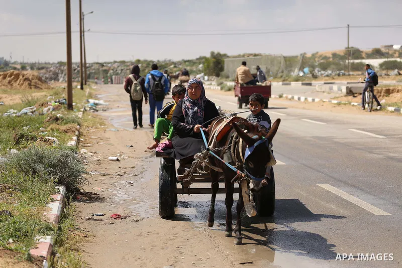 Palestinian woman Jihan Abu Muhsen rides her donkey-drawn cart as she collects bricks for sale from the sites of demolished buildings in Khan Younis in the southern Gaza Strip March 17, 2016. Abu Muhsen gathers bricks fr...