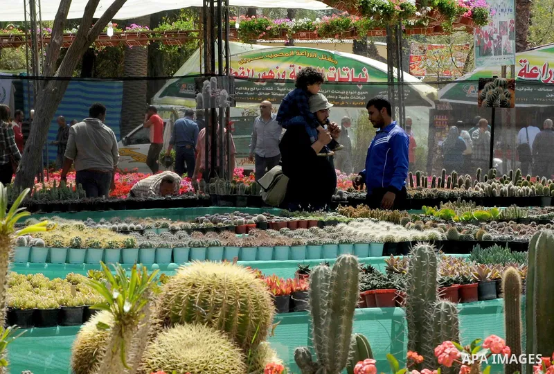 Egyptians visit the spring flower exhibition held at Orman Botanical Garden in Giza, Egypt, on March 19, 2016. Photo by Amr Sayed