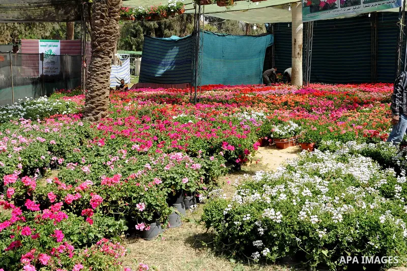 A general view shows the spring flower exhibition at Orman Botanical Garden in Giza, Egypt, on March 19, 2016. Photo by Amr Sayed