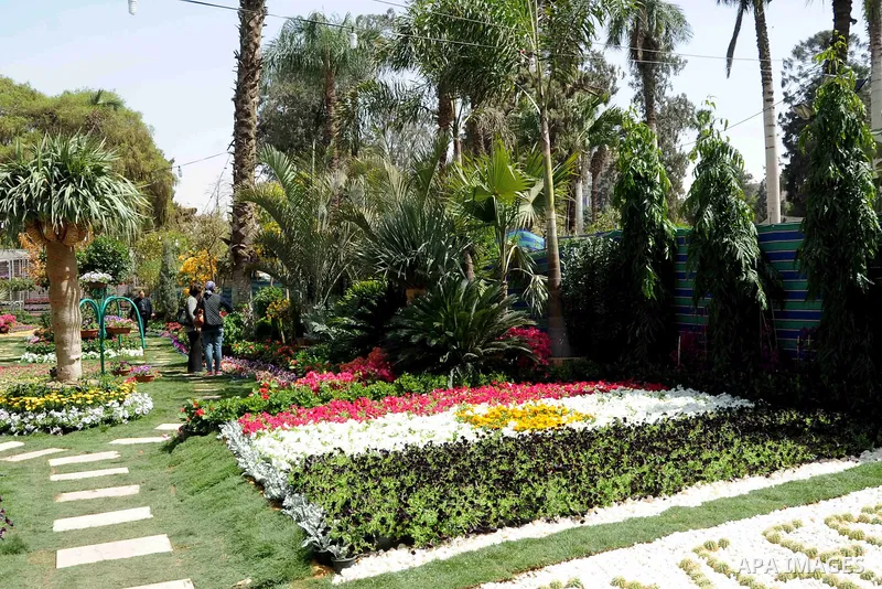 A general view shows the spring flower exhibition at Orman Botanical Garden in Giza, Egypt, on March 19, 2016. Photo by Amr Sayed