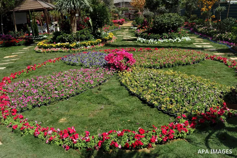 A general view shows the spring flower exhibition at Orman Botanical Garden in Giza, Egypt, on March 19, 2016. Photo by Amr Sayed