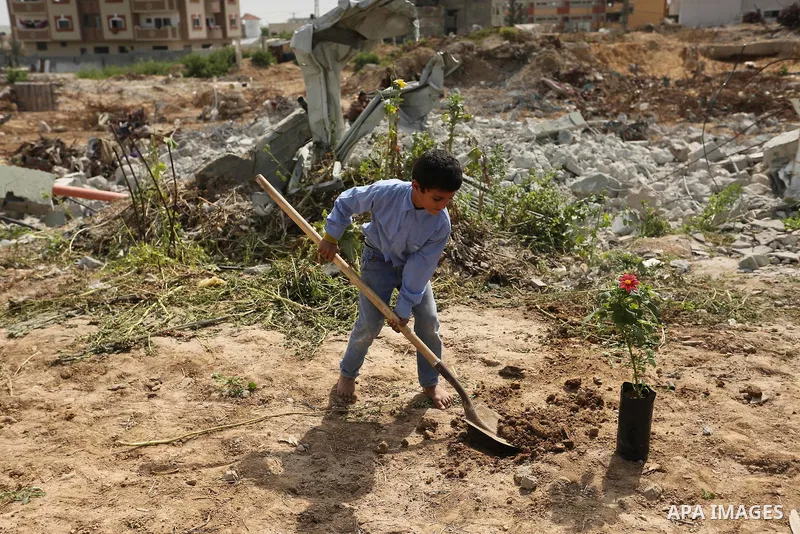 Palestinian children are grown roses during a rally demanding to reconstruction of their homes which destroyed during 2014 war in Shejaiya neighborhood in Gaza city, on March 24, 2016. Photo by Ashraf Amra