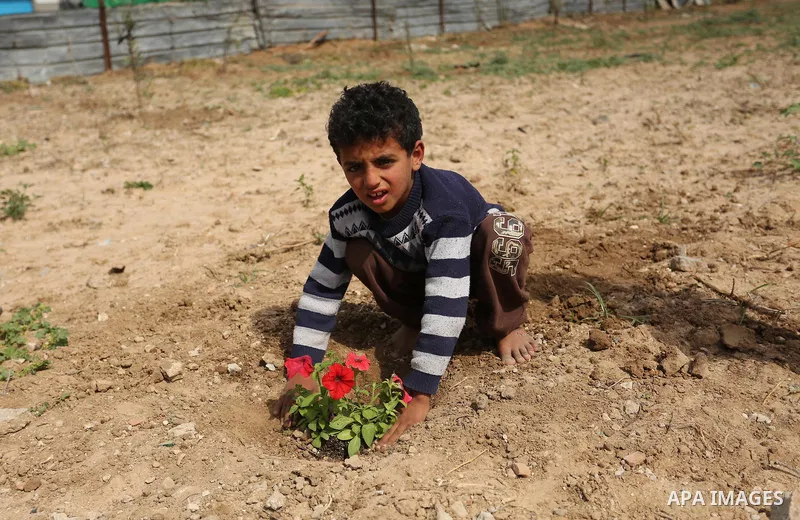 Palestinian children are grown roses during a rally demanding to reconstruction of their homes which destroyed during 2014 war in Shejaiya neighborhood in Gaza city, on March 24, 2016. Photo by Ashraf Amra