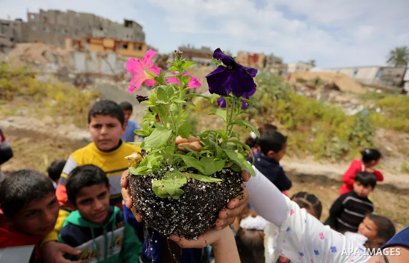 Palestinian children are grown roses during a rally demanding to reconstruction of their homes which destroyed during 2014 war in Shejaiya neighborhood in Gaza city, on March 24, 2016. Photo by Ashraf Amra