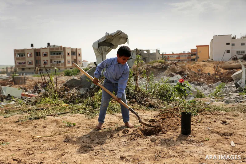 Palestinian children are grown roses during a rally demanding to reconstruction of their homes which destroyed during 2014 war in Shejaiya neighborhood in Gaza city, on March 24, 2016. Photo by Ashraf Amra