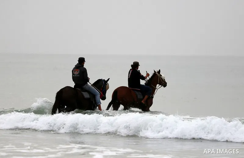 Palestinain ride thier horses in the Mediterranean sea on the coast of Gaza city, on March 25, 2016. Photo by Yasser Qudih