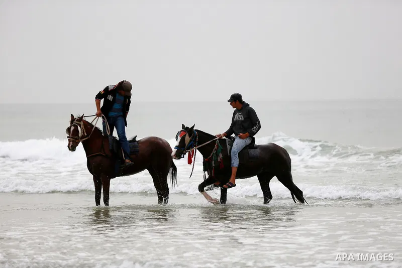 Palestinain ride thier horses in the Mediterranean sea on the coast of Gaza city, on March 25, 2016. Photo by Yasser Qudih