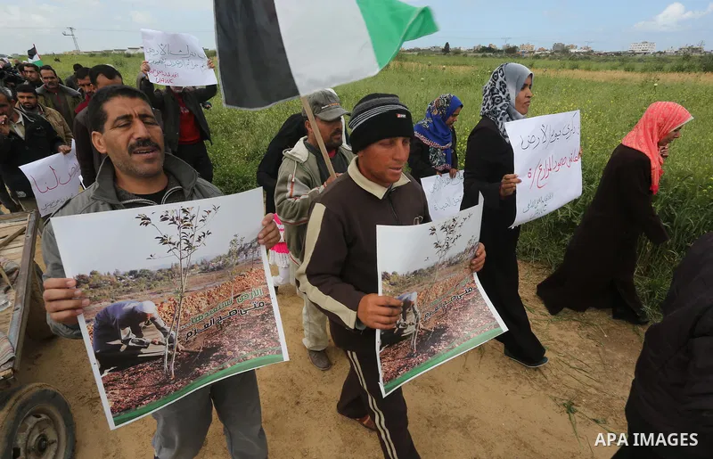 Palestinians hold national flags during a march to mark Land Day in Gaza, on March 29, 2016. The annual demonstrations mark the deaths of six Arab Israeli protesters at the hands of Israeli police and troops during mass...