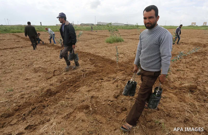 Palestinians plant olive trees during a march to mark Land Day in Gaza, on March 29, 2016. The annual demonstrations mark the deaths of six Arab Israeli protesters at the hands of Israeli police and troops during mass pr...