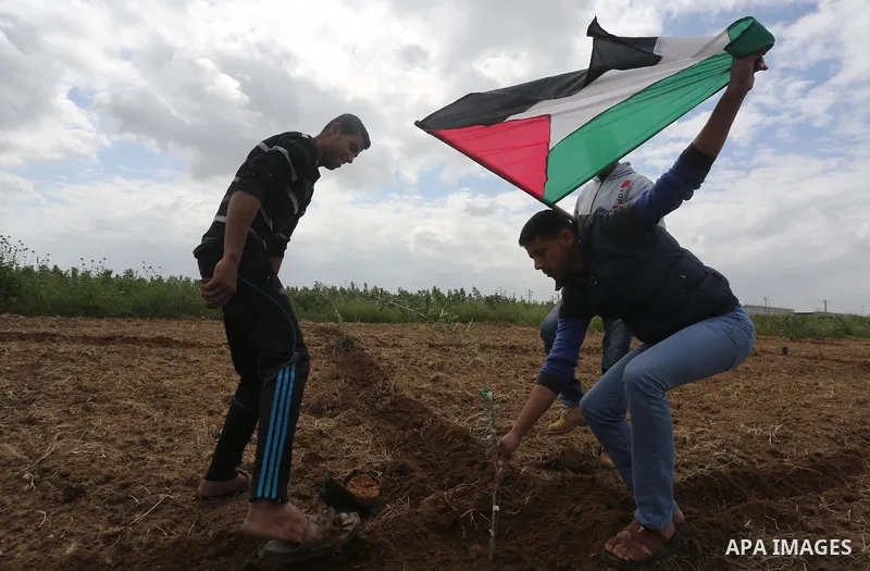 Palestinians plant olive trees during a march to mark Land Day in Gaza, on March 29, 2016. The annual demonstrations mark the deaths of six Arab Israeli protesters at the hands of Israeli police and troops during mass pr...