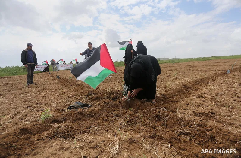 Palestinians plant olive trees during a march to mark Land Day in Gaza, on March 29, 2016. The annual demonstrations mark the deaths of six Arab Israeli protesters at the hands of Israeli police and troops during mass pr...