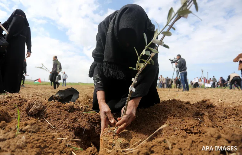 Palestinians plant olive trees during a march to mark Land Day in Gaza, on March 29, 2016. The annual demonstrations mark the deaths of six Arab Israeli protesters at the hands of Israeli police and troops during mass pr...