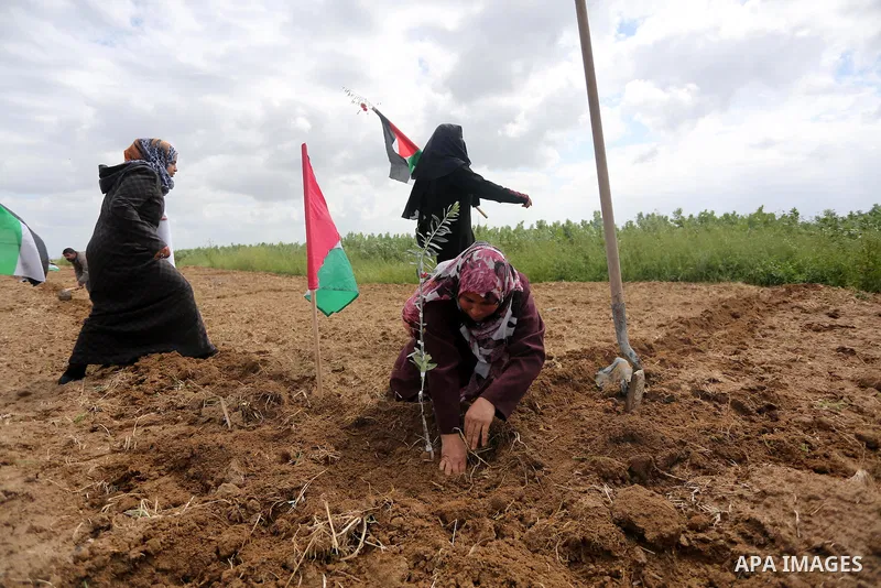 Palestinians plant olive trees during a march to mark Land Day in Gaza, on March 29, 2016. The annual demonstrations mark the deaths of six Arab Israeli protesters at the hands of Israeli police and troops during mass pr...