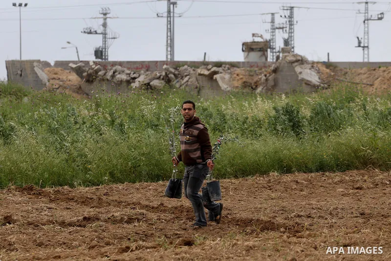 Palestinians plant olive trees during a march to mark Land Day in Gaza, on March 29, 2016. The annual demonstrations mark the deaths of six Arab Israeli protesters at the hands of Israeli police and troops during mass pr...