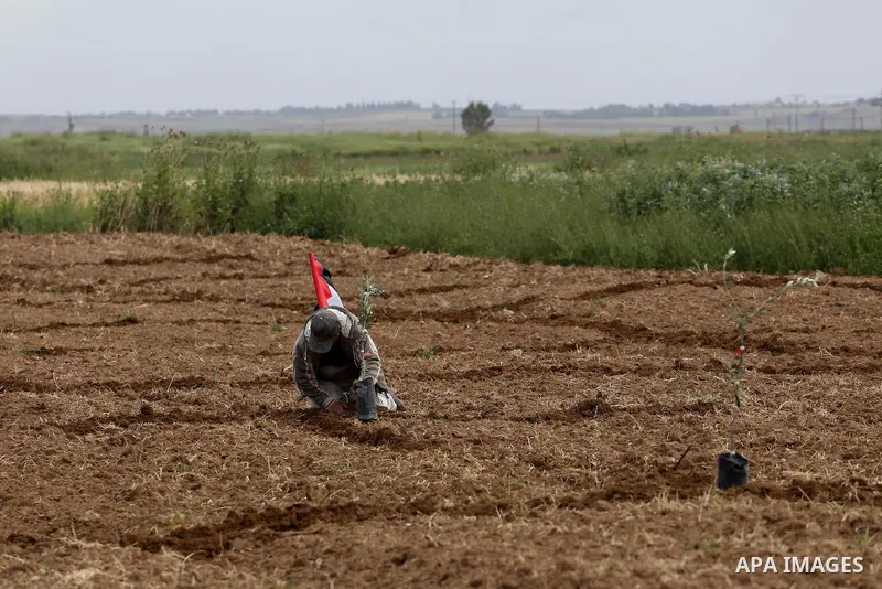 Palestinians plant olive trees during a march to mark Land Day in Gaza, on March 29, 2016. The annual demonstrations mark the deaths of six Arab Israeli protesters at the hands of Israeli police and troops during mass pr...