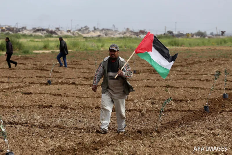 Palestinians plant olive trees during a march to mark Land Day in Gaza, on March 29, 2016. The annual demonstrations mark the deaths of six Arab Israeli protesters at the hands of Israeli police and troops during mass pr...