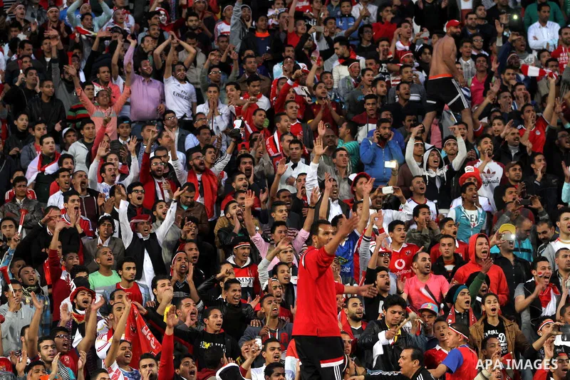 Egyptian fans watch the African Cup of Nations group G qualification football match between Egypt and Nigeria at the Borg el-Arab Stadium in Alexandria on March 29, 2016. Photo by Stringer