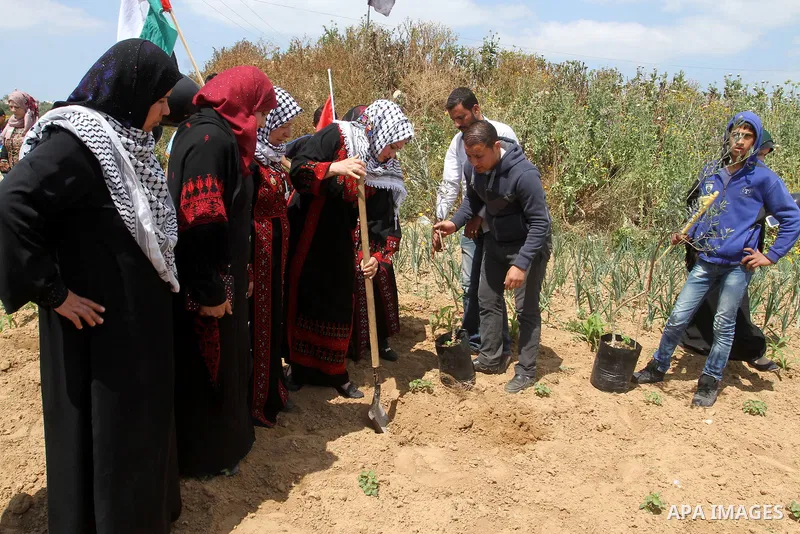 Palestinians plant olive trees to mark Land Day on March 30, 2016, in Khan Yunis, in the southern Gaza Strip. March 30 marks Land Day, the annual commemorations of the killing by police of six Arab citizens in 1976 durin...