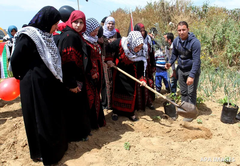 Palestinians plant olive trees to mark Land Day on March 30, 2016, in Khan Yunis, in the southern Gaza Strip. March 30 marks Land Day, the annual commemorations of the killing by police of six Arab citizens in 1976 durin...