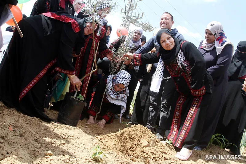 Palestinians plant olive trees to mark Land Day on March 30, 2016, in Khan Yunis, in the southern Gaza Strip. March 30 marks Land Day, the annual commemorations of the killing by police of six Arab citizens in 1976 durin...