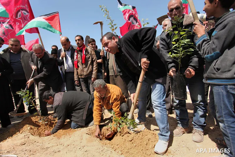 Palestinian protesters plant olive trees during a rally to mark Land Day, near the Nahal Oz crossing east of Gaza City on March 31, 2016. The annual commemorations of the killing by police of six Arab citizens in 1976 du...