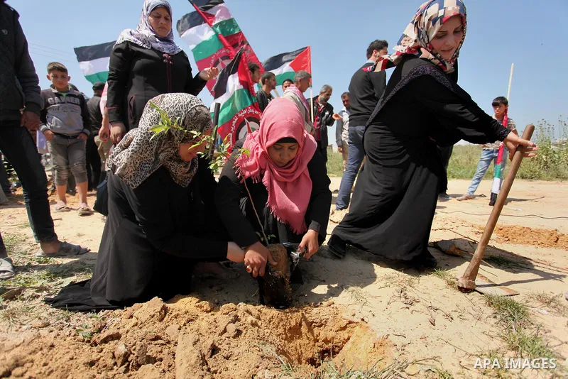 Palestinian protesters plant olive trees during a rally to mark Land Day, near the Nahal Oz crossing east of Gaza City on March 31, 2016. The annual commemorations of the killing by police of six Arab citizens in 1976 du...