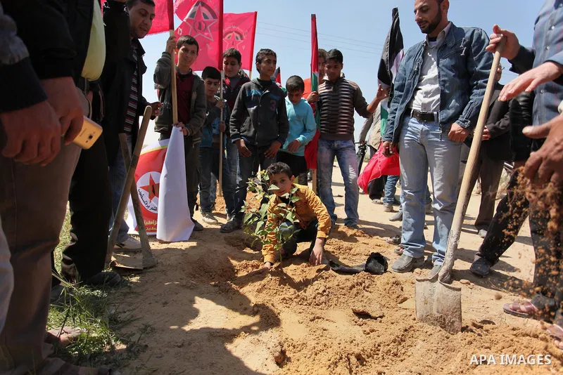 Palestinian protesters plant olive trees during a rally to mark Land Day, near the Nahal Oz crossing east of Gaza City on March 31, 2016. The annual commemorations of the killing by police of six Arab citizens in 1976 du...