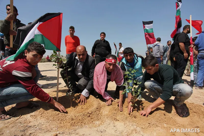 Palestinian protesters plant olive trees during a rally to mark Land Day, near the Nahal Oz crossing east of Gaza City on March 31, 2016. The annual commemorations of the killing by police of six Arab citizens in 1976 du...