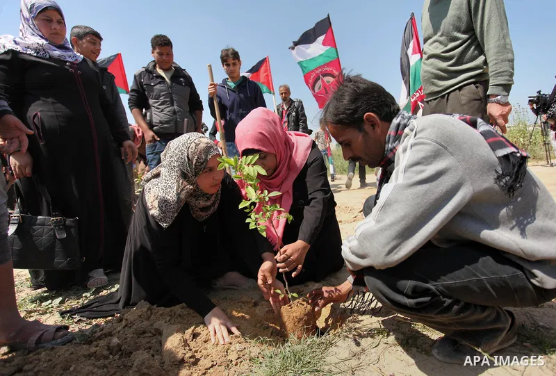 Palestinian protesters plant olive trees during a rally to mark Land Day, near the Nahal Oz crossing east of Gaza City on March 31, 2016. The annual commemorations of the killing by police of six Arab citizens in 1976 du...