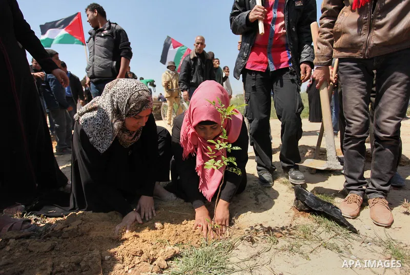 Palestinian protesters plant olive trees during a rally to mark Land Day, near the Nahal Oz crossing east of Gaza City on March 31, 2016. The annual commemorations of the killing by police of six Arab citizens in 1976 du...